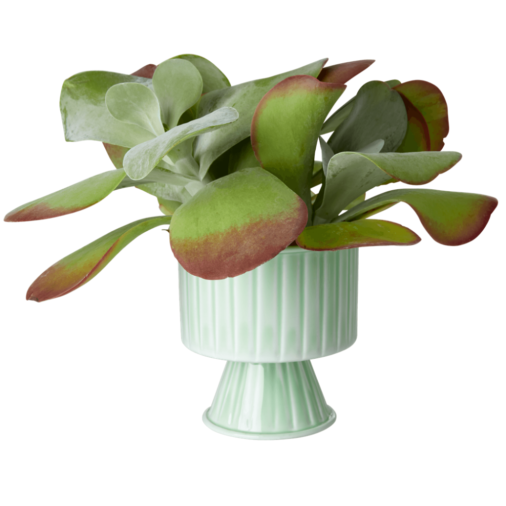 Sage Green Metal Flower Pot By Rice DK